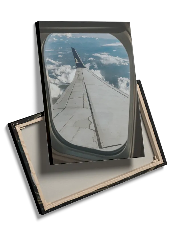 View From Airplane Window