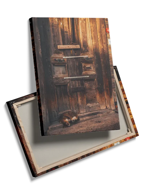 Rustic Wooden Door With Cat