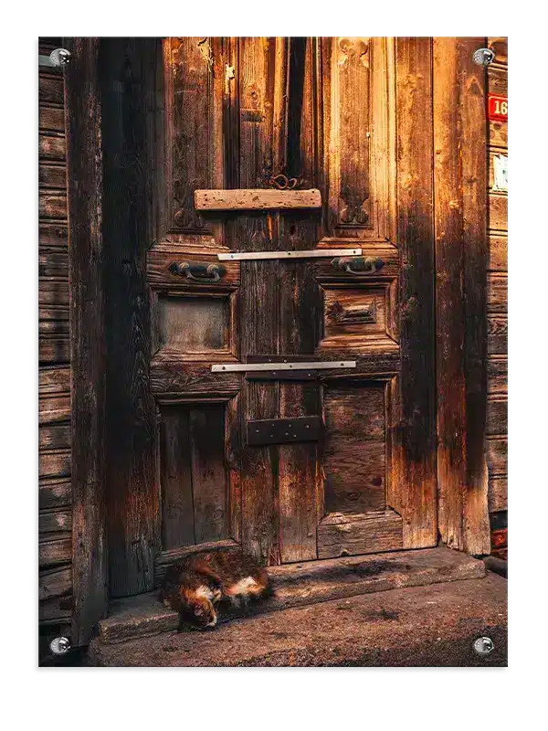 Rustic Wooden Door With Cat