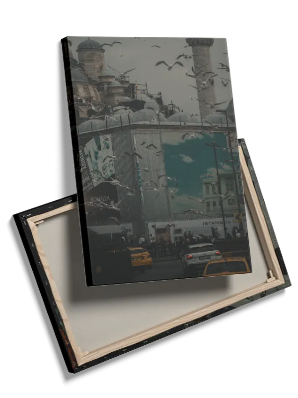 Urban Scene With Flying Birds
