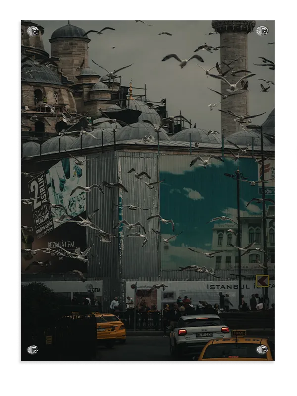 Urban Scene With Flying Birds