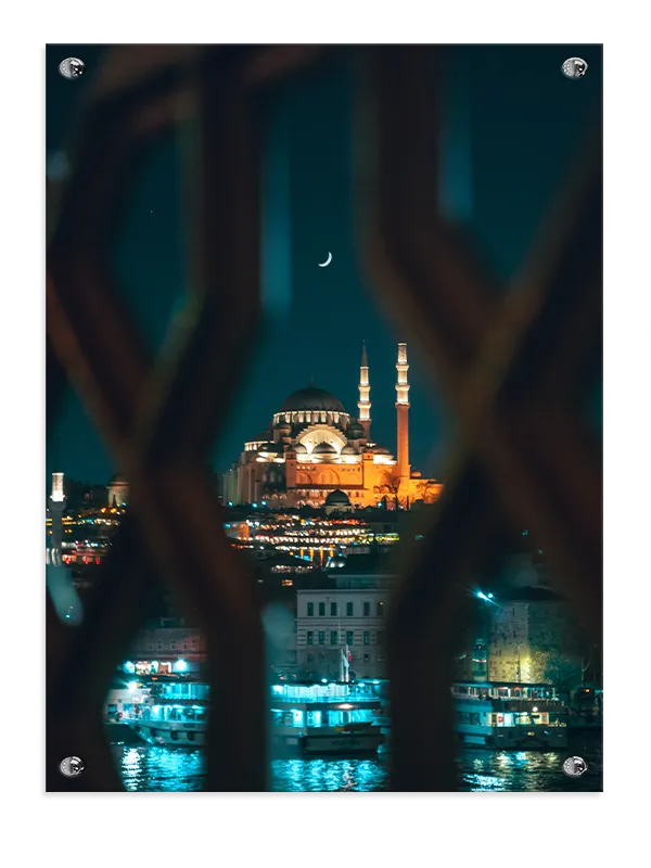 Night View With Crescent Moon