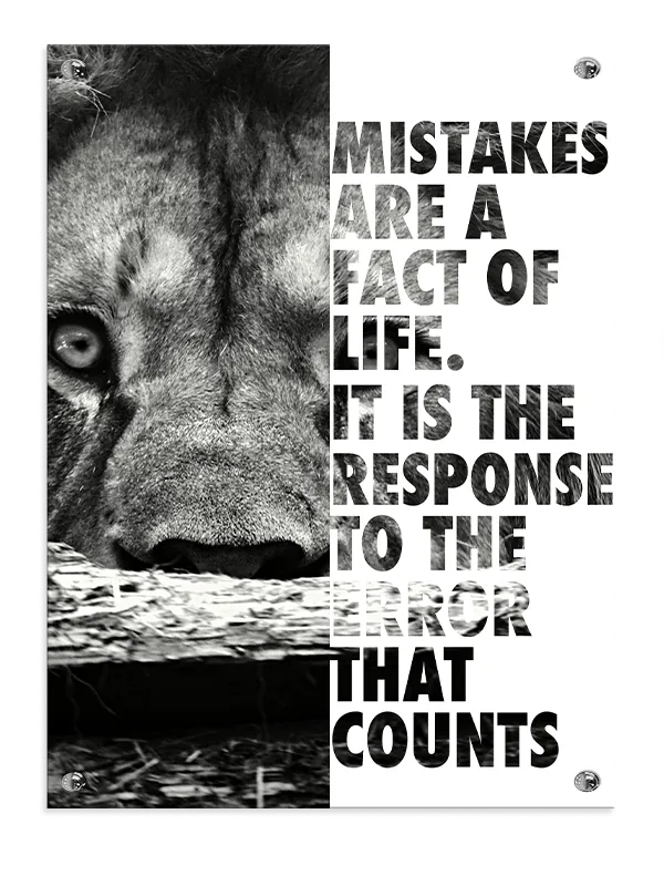 Mistakes Shape Strength Plakat