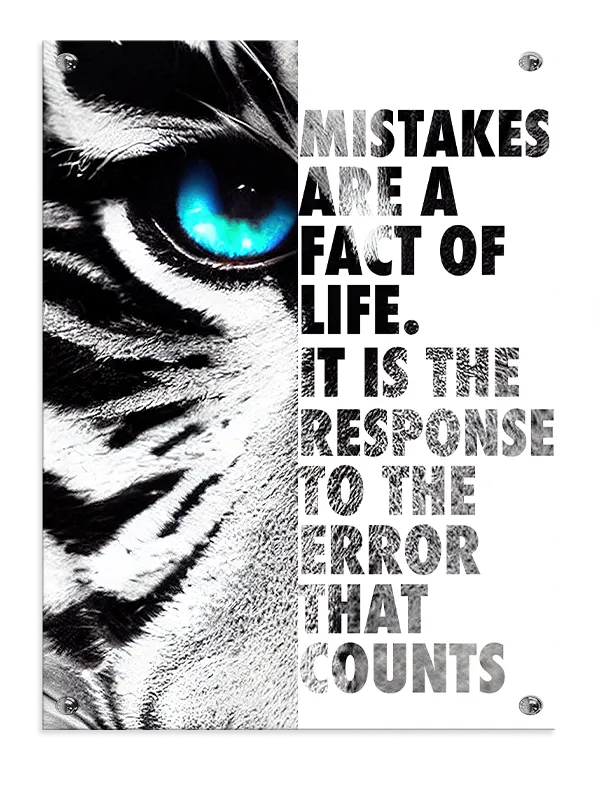Mistakes Build Resilience Plakat