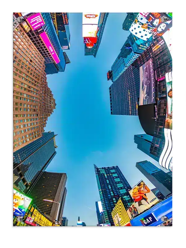 New york – Cold Pressure