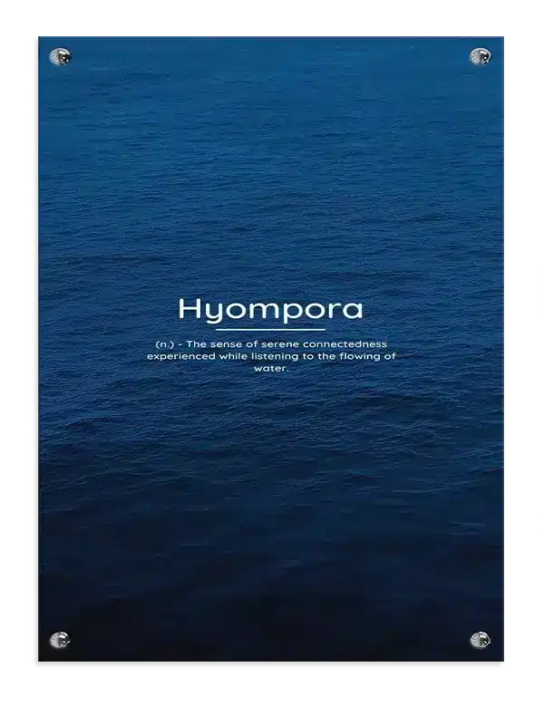 Hyompora Mindfulness Plakat