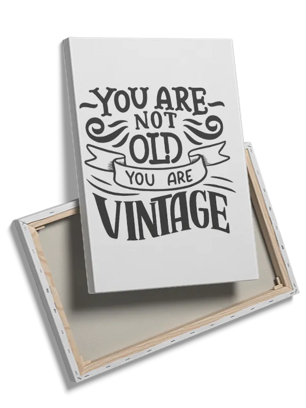 Du Er Vintage Plakat