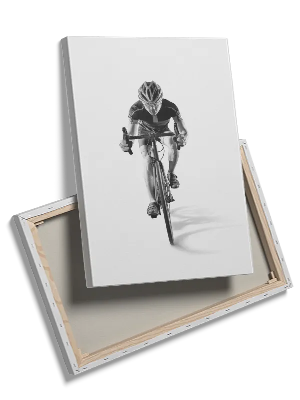 Cykelrytterens Fartfyldte Eventyr