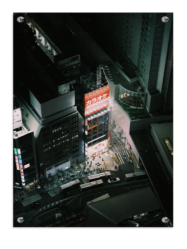 Neonlys Over Tokyo Kryds