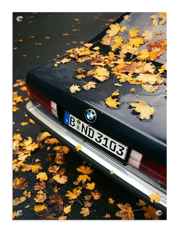 Efterårsblade på Bmw Bagklap