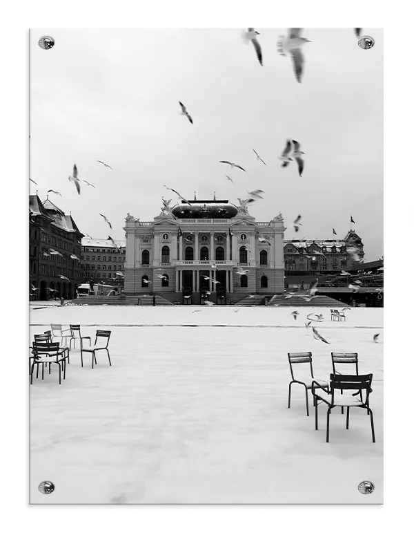 Sneklædt Plads med Måger