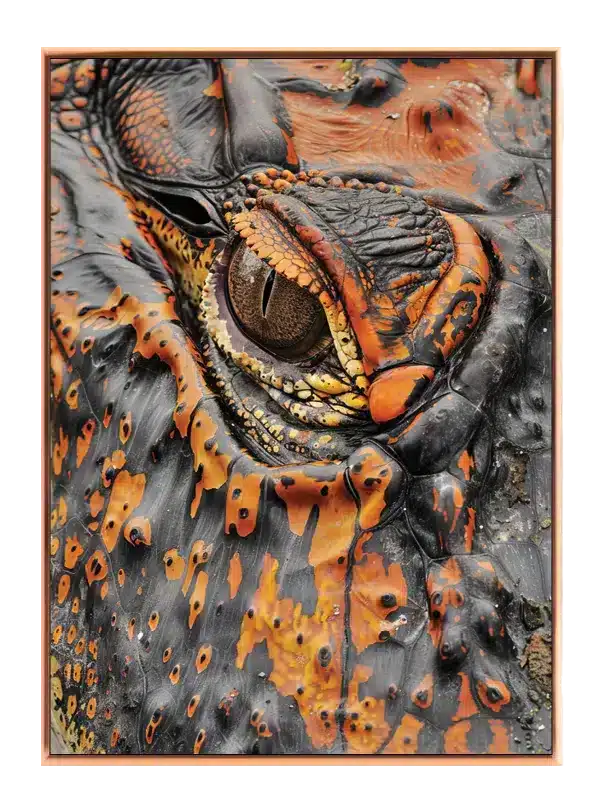 Ko Fire Salamander Plakat