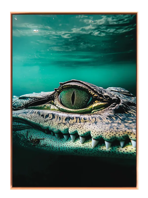 Crocodile Eye Plakat