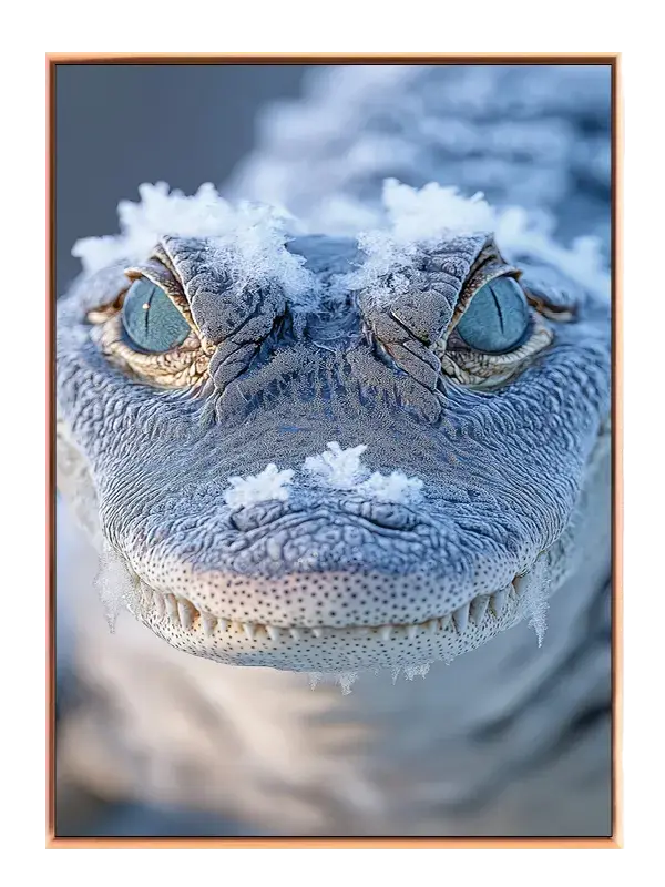 Ko Alligator Plakat