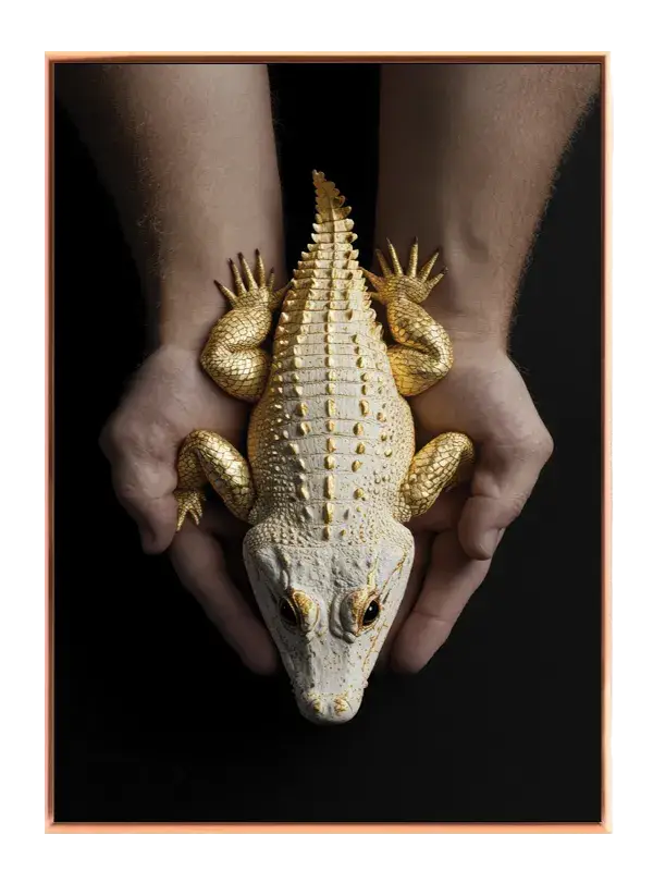 Golden Crocodile Plakat