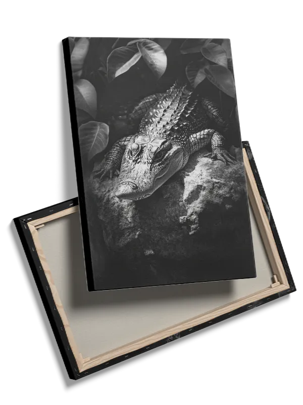 Ko American Alligator I Plakat