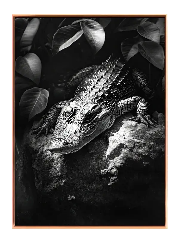 Ko American Alligator I Plakat