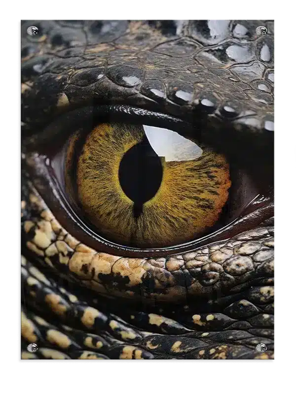 Crocodile Eye Closeup Plakat