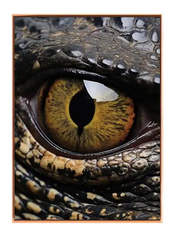 Crocodile Eye Closeup Plakat