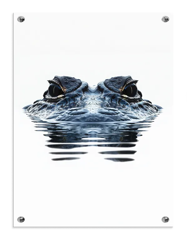 Bi Alligator Eyes Plakat