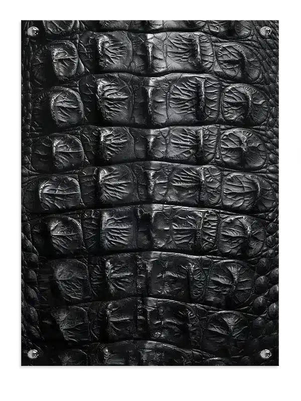 Crocodile Skin Plakat