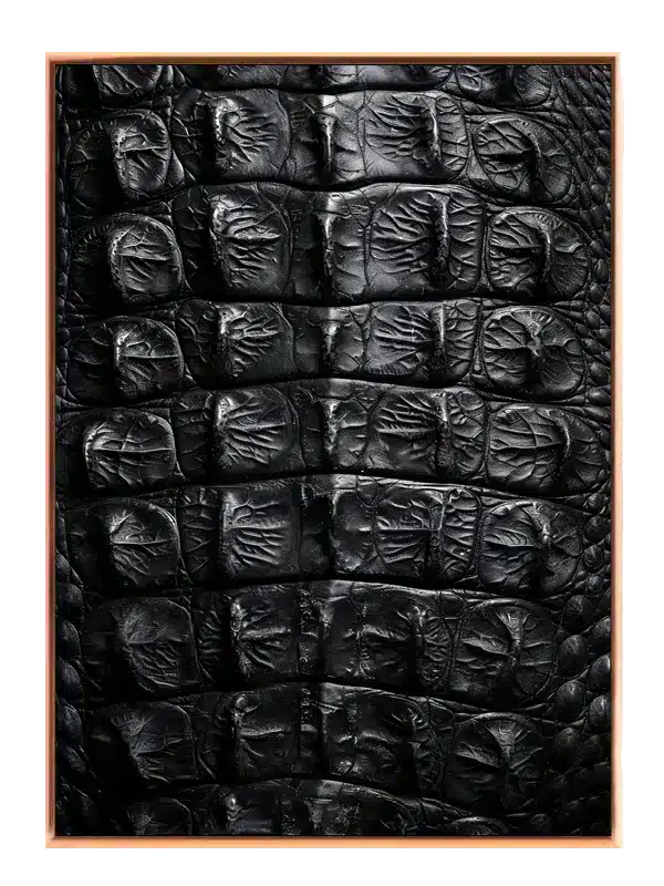 Crocodile Skin Plakat