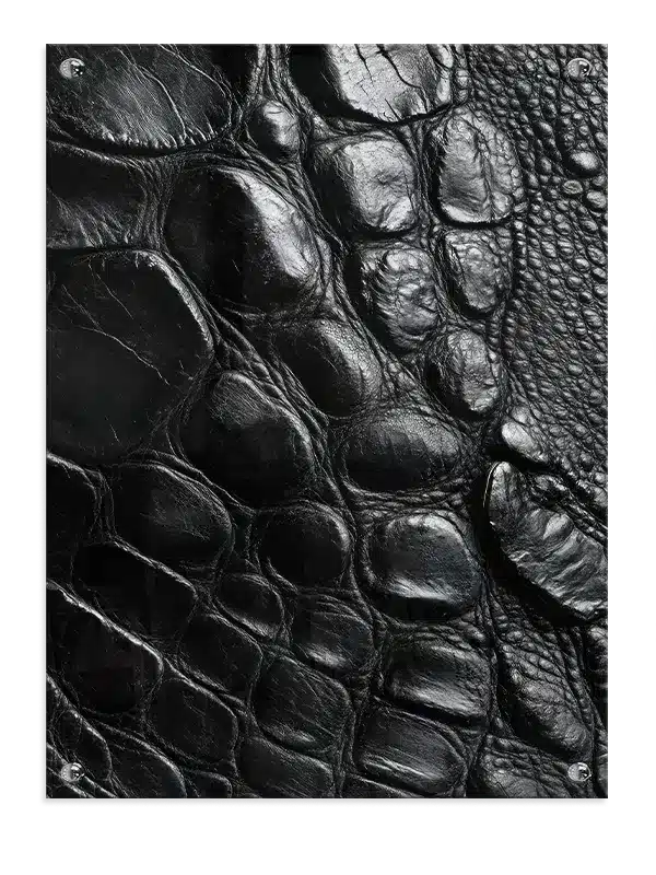 Crocodile Skin Texture Plakat