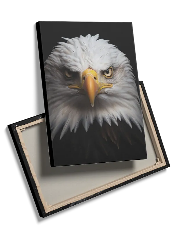 Bald Eagle Portrait Plakat