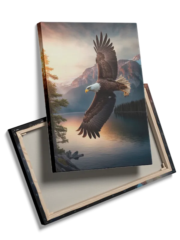Bald Eagle Sunset Plakat