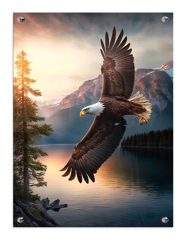 Bald Eagle Sunset Plakat