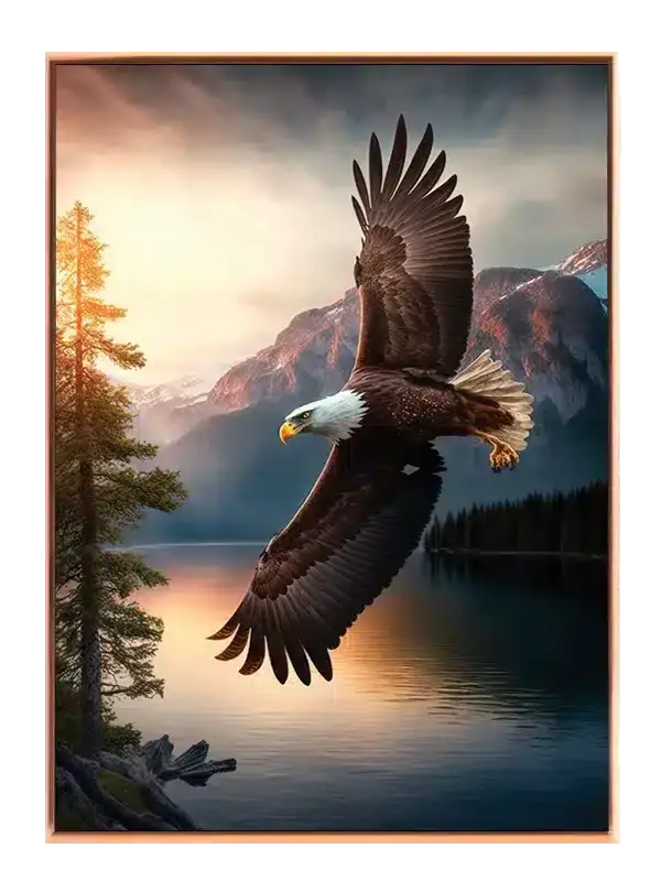 Bald Eagle Sunset Plakat