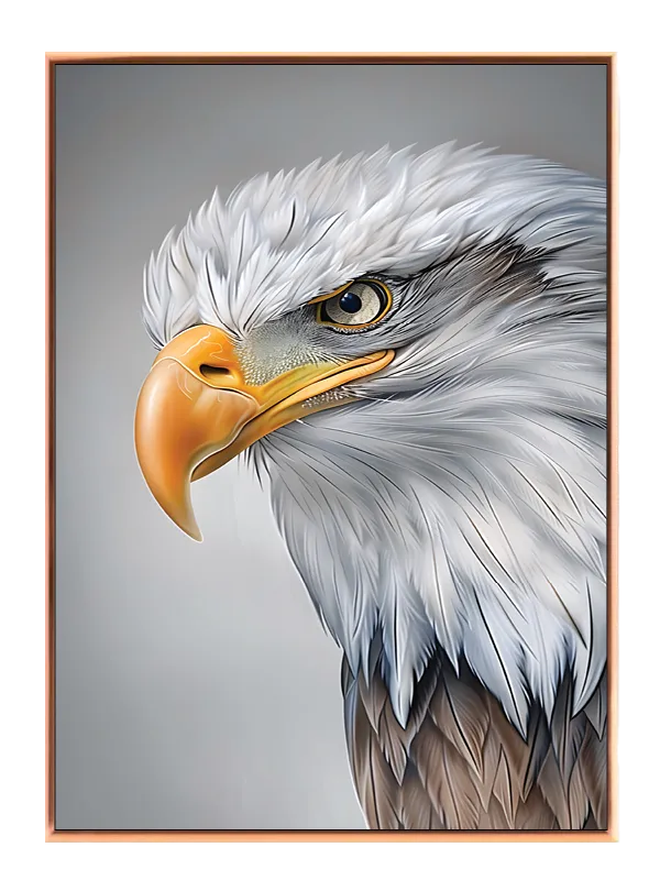 Bald Eagle Closeup Plakat