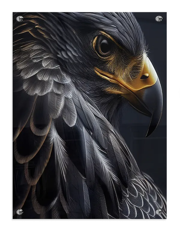 Ugle Peregrine Plakat