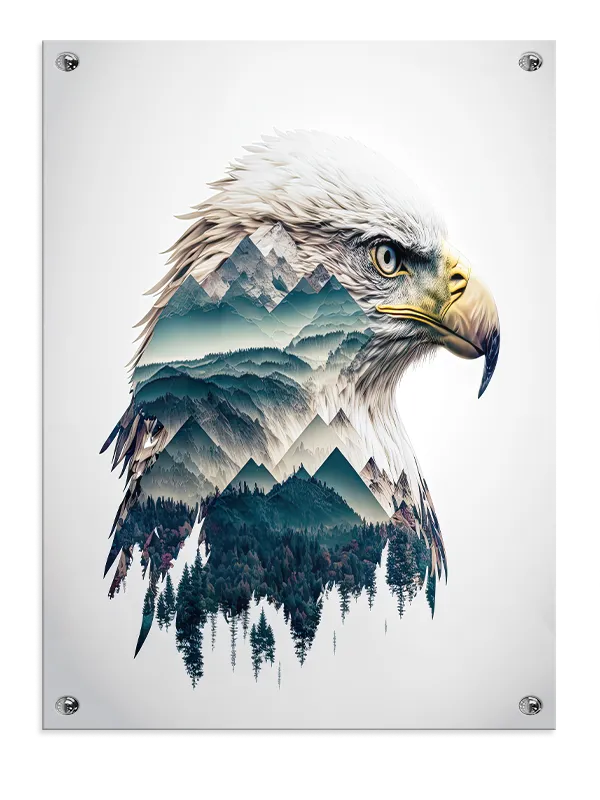 Bald Eagle Landscape Plakat