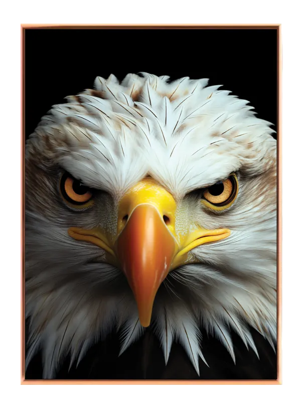 Bald Eagle Intense Plakat