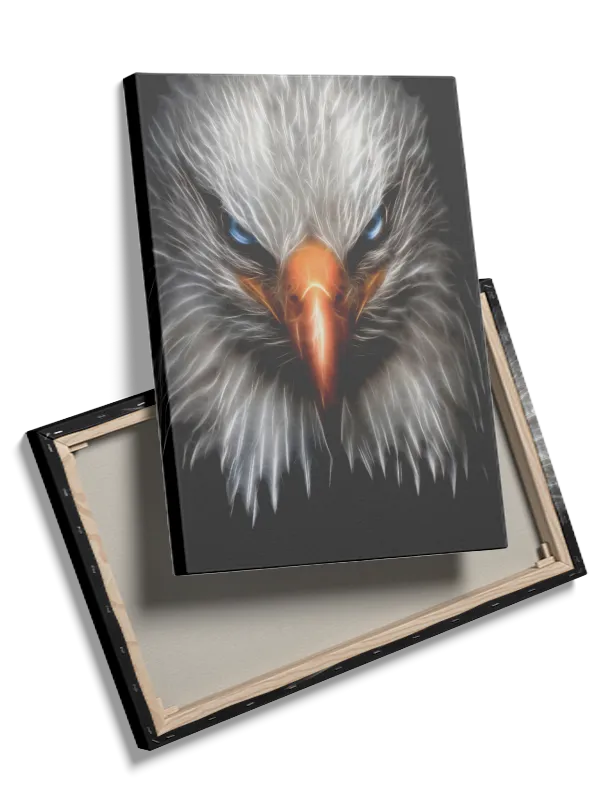 Bald Eagle Face Plakat