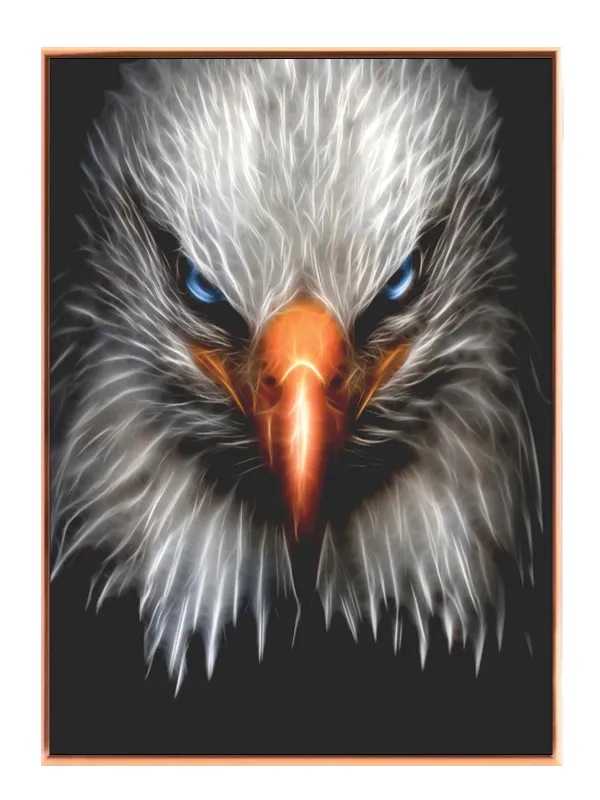 Bald Eagle Face Plakat