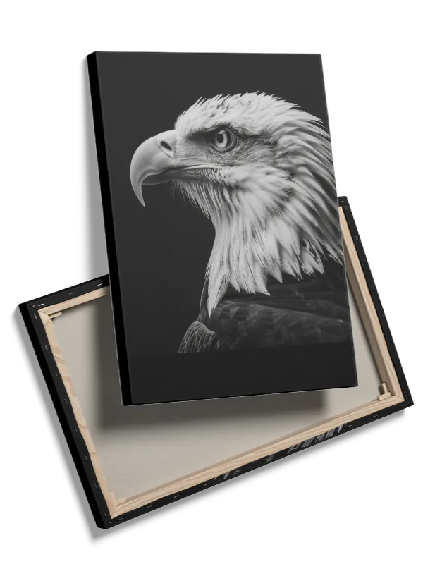 Bald Eagle Profile Plakat