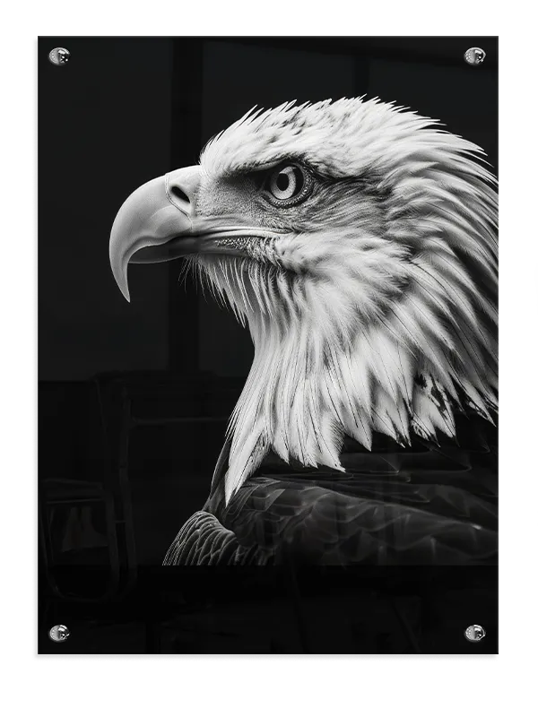 Bald Eagle Profile Plakat