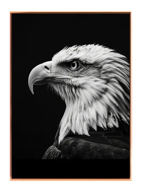 Bald Eagle Profile Plakat