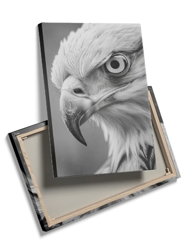 Eagle Close Up Plakat