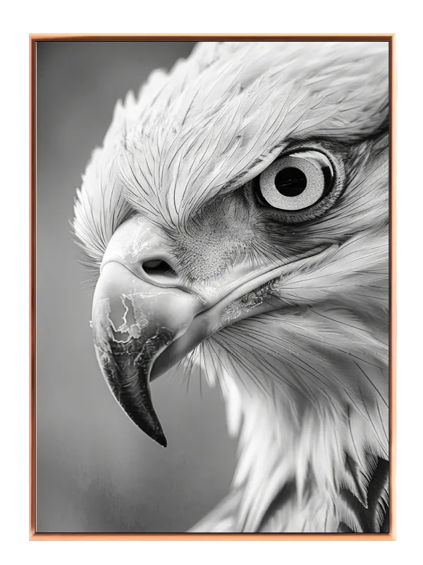 Eagle Close Up Plakat