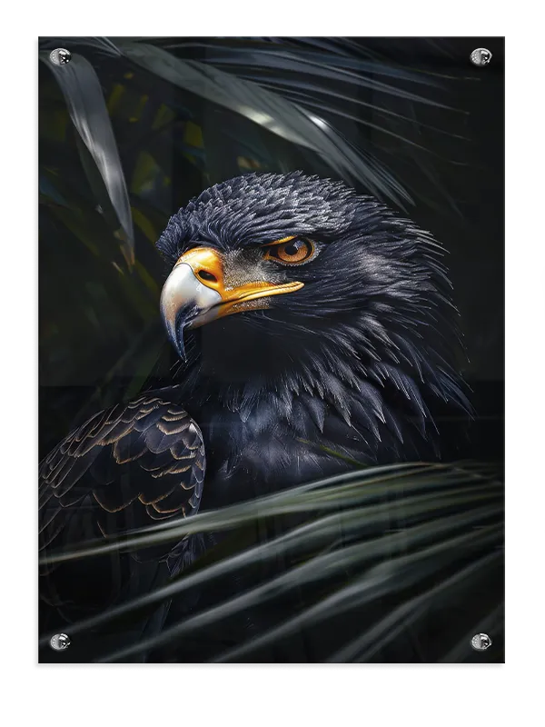 Bateleur Eagle Plakat