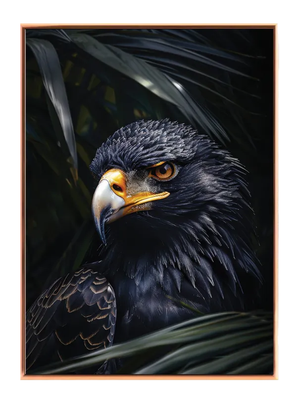 Bateleur Eagle Plakat