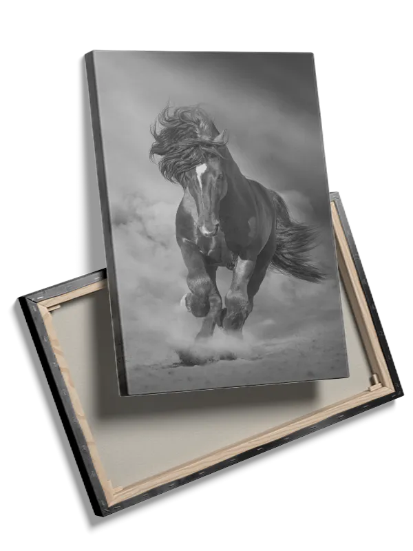Running Horse Plakat