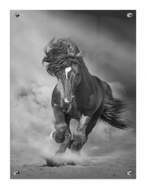 Running Horse Plakat