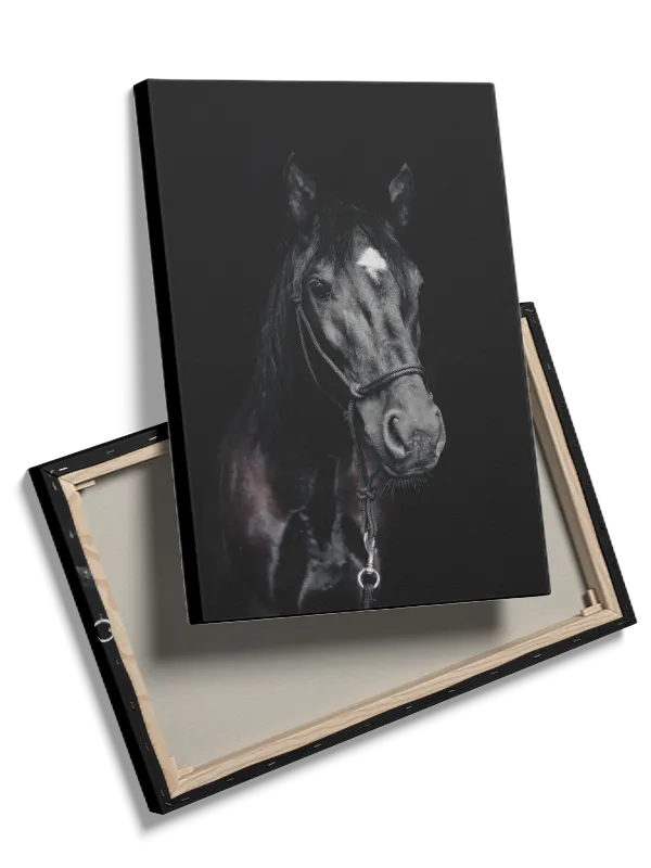 Black Horse Plakat