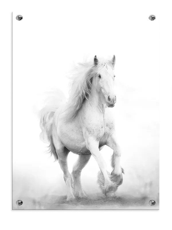White Horse Plakat