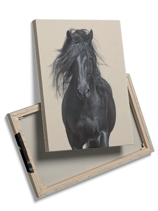 Friesian Horse Plakat