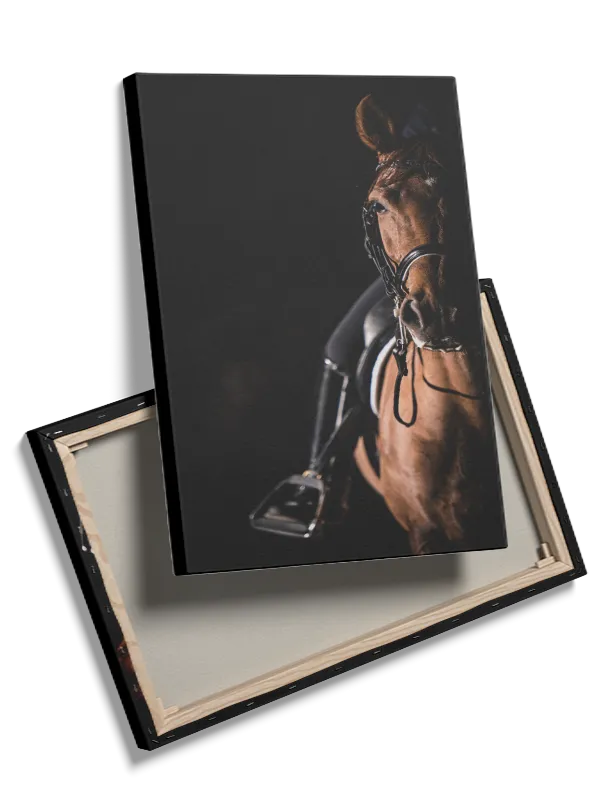 Chestnut Horse Plakat